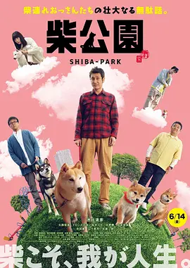 青春草在线免费观看