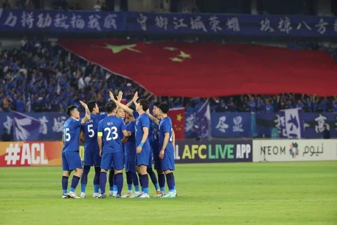 国产寡妇树林野战在线播放