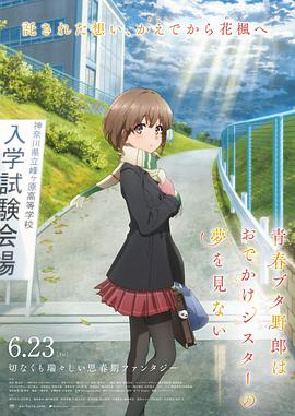 在线播放12p