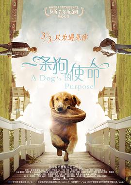 欧美综合区