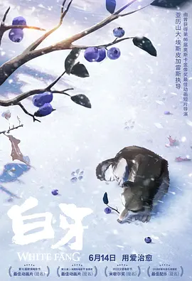 新妈妈2019