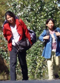 91日本在线观看